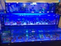 IMG_3008