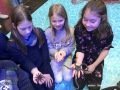 Messe-Boot-2020