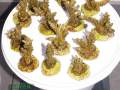 Acropora-sp.-hellgruen´-DSC02228