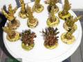 Acropora-sp.-hellgruen´-Pocillopora-sp.-gruen´-M-DSC01911