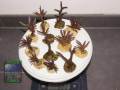 Acropora-sp.-marineblau´-M-DSC01243