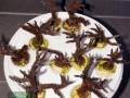 Acropora-sp.-marineblau´-S-M-DSC05509