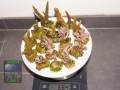 Acropora-spp.-S-M-DSC01249