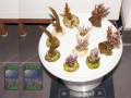 Acropora-spp.-S-M-DSC02914