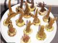 Acropora-spp.-S-M-DSC04180