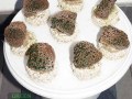 Alveopora-allingi-M-DSC01917