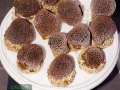 Alveopora-allingi-M-L-DSC05517