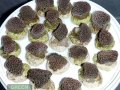 Alveopora-allingi-S-M-DSC03010