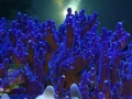3_Acropora valida `violett´_DSC01148