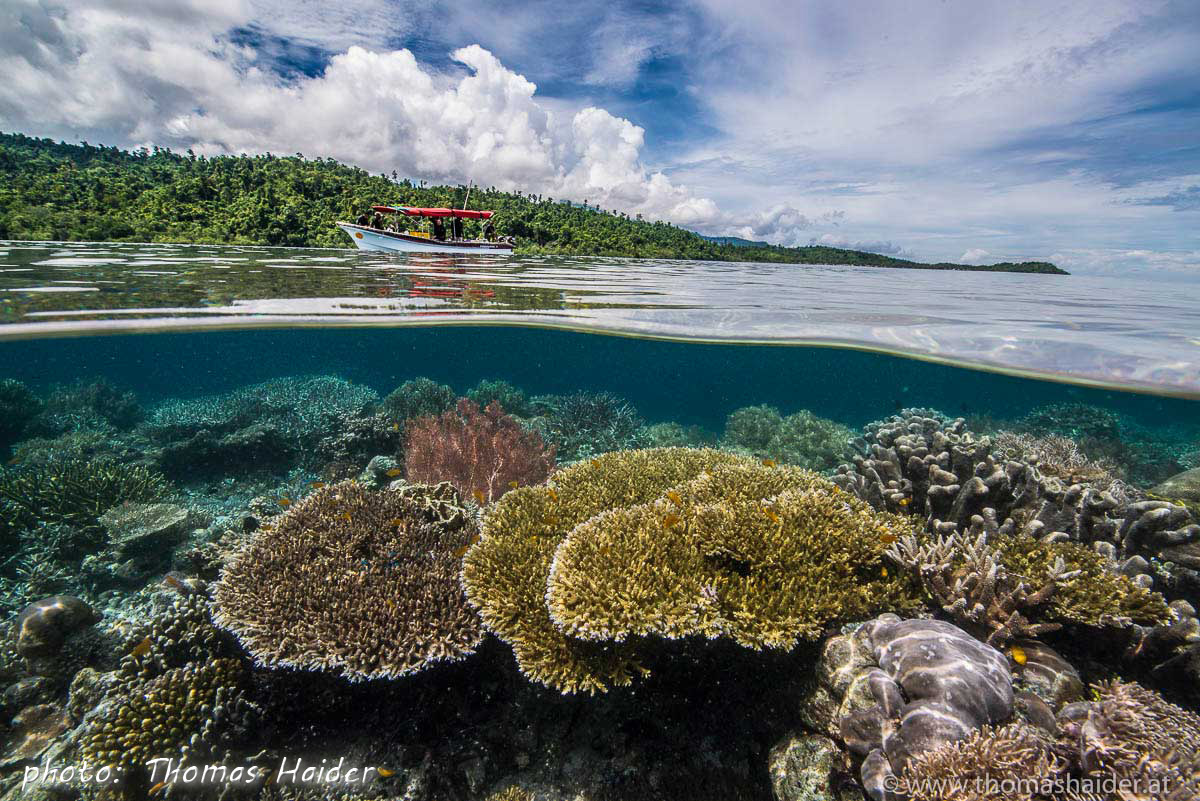 PapuaParadise_c_Thomas_Haider_resort-surrounding-4