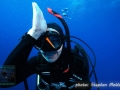 Elke shark