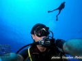 Stephan shark photographer