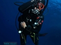 Gottfried shark