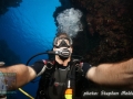 Stephan