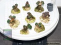 Fimbriaphyllia-paraancora-F.-paradivisa-S-DSC07716