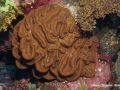 DSC06786