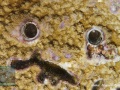 DSC07138