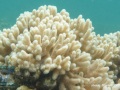 DSC07255