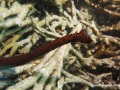 DSC07304