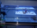 14 Ablegerbecken DSC01488