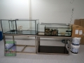5 Gesellschafts- und Filterbecken DSC08804
