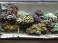 Aquar_Sep_2014