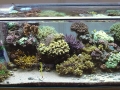 Aquar_Sep_2014_2
