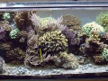 Aquar_Sep_2015
