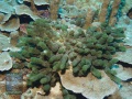 DSC07056