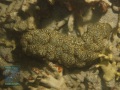 DSC07383