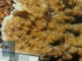 DSC08845