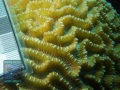 DSC09701
