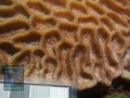 DSC09738