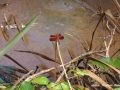 DSC01812
