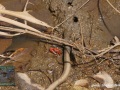 DSC01815