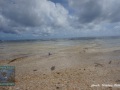 DSC01917