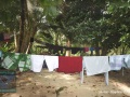 DSC01932