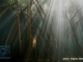 DSC07860