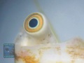 DSC02130