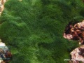 DSC07116