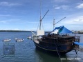 IMG_6921