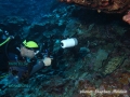 A photographer photographs a grouper