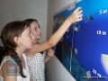 2 MBWS 2013 - Reef Illustration P1000978