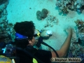 3e MBWS Sampling sand