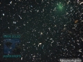9 Night dives - plankton DSC05706