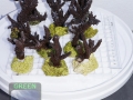 10xAcropora sp. `blau´ 800g DSC08912