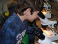 DSC05464