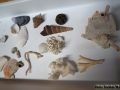 DSC05469