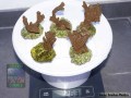 Montipora-capitata-digitate-lila´-M-L-DSC07639