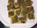 Montipora-danae-knallgruen´-S-M-DSC05514